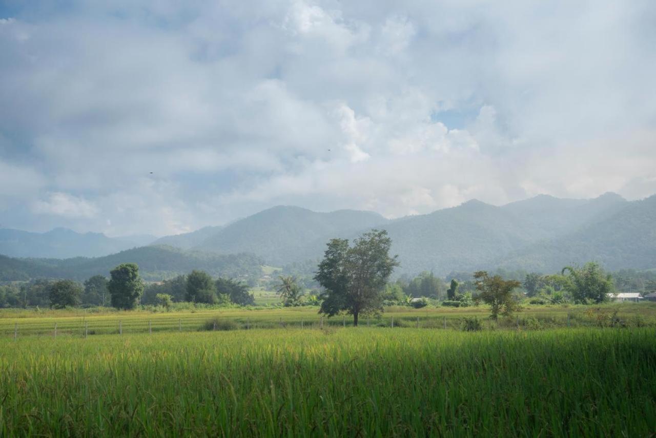 Camp View Mountain - Sell Experience By Paddy Fields Haven - Natures Nest Pai Dış mekan fotoğraf