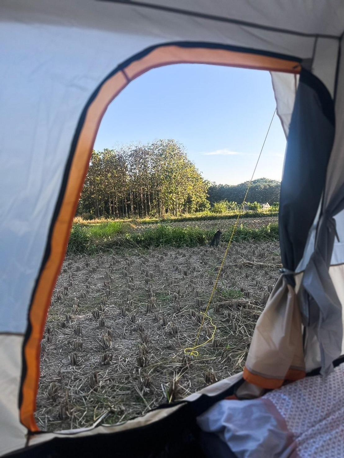 Camp View Mountain - Sell Experience By Paddy Fields Haven - Natures Nest Pai Dış mekan fotoğraf